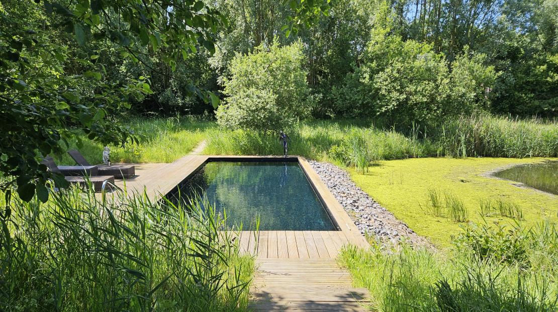 Prachtig buitenzwembad omringt door natuur